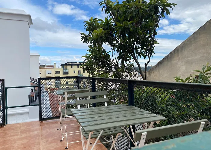 Hostel Terrace House *